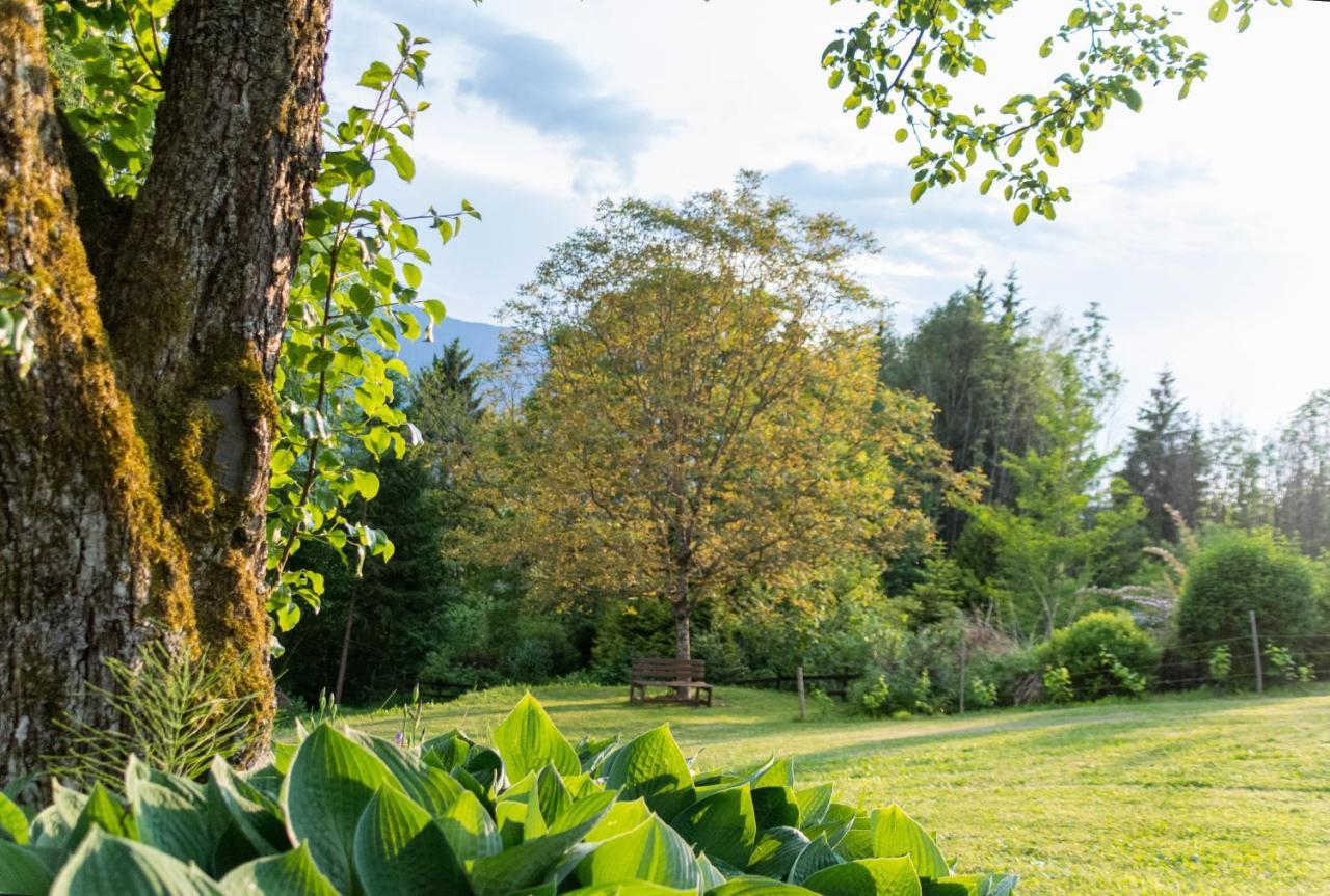 Gartenlodge Auszeit Nötsch Exteriör bild