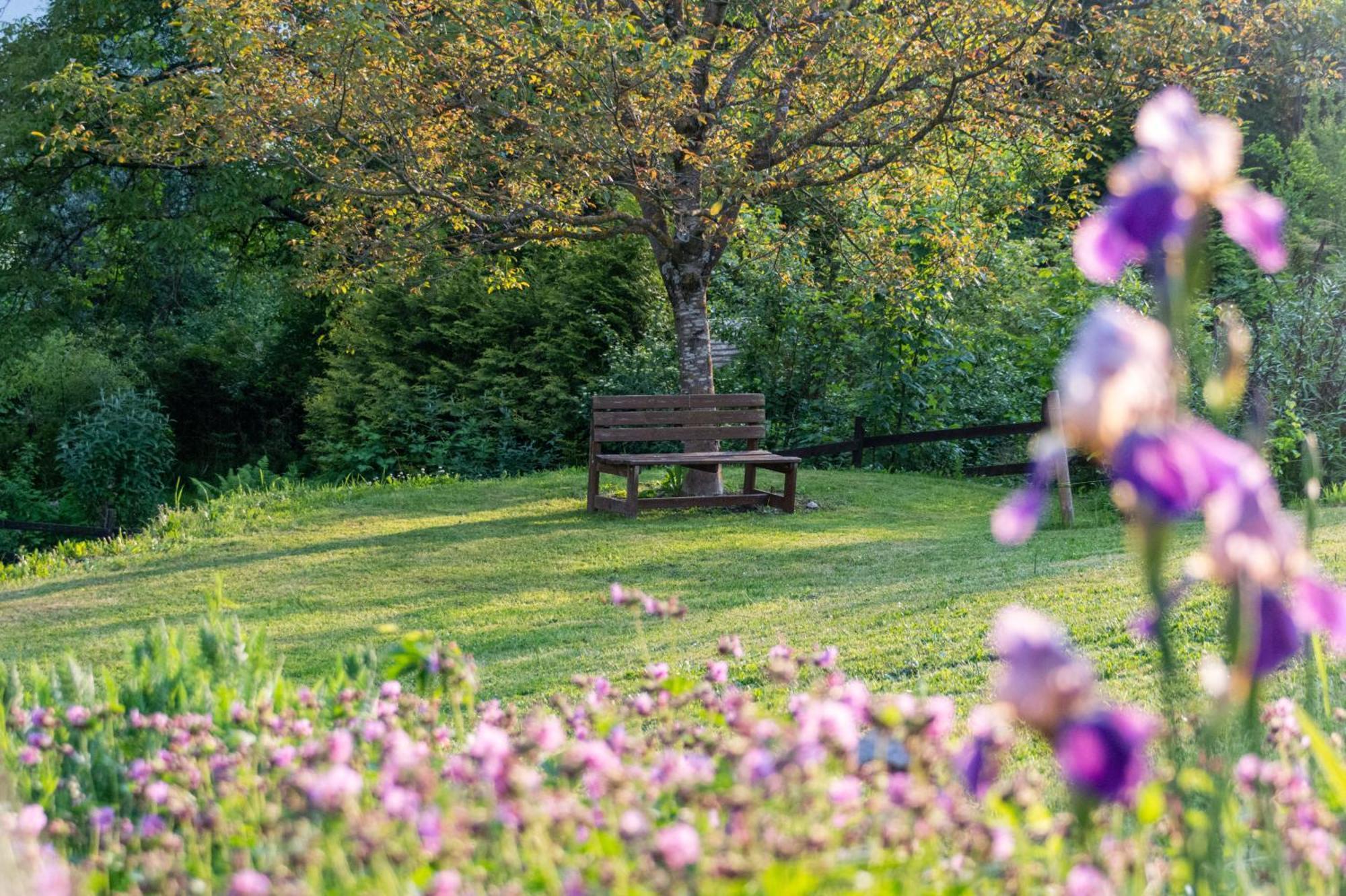 Gartenlodge Auszeit Nötsch Exteriör bild