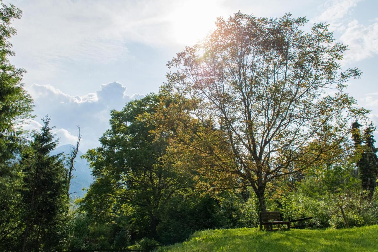 Gartenlodge Auszeit Nötsch Exteriör bild